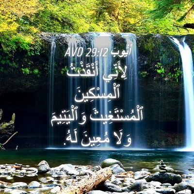 Picture 04 - أَيُّوبَ 29:12 AVD - لِأَنِّي أَنْقَذْتُ - Bible Verse Picture