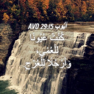 Picture 04 - أَيُّوبَ 29:15 AVD - كُنْتُ عُيُونًا - Bible Verse Picture