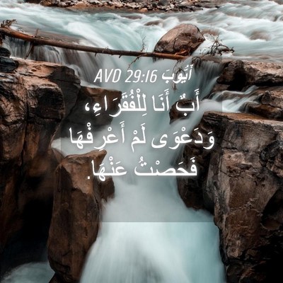 Picture 04 - أَيُّوبَ 29:16 AVD - أَبٌ أَنَا لِلْفُقَرَاءِ، - Bible Verse Picture