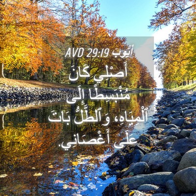 Picture 04 - أَيُّوبَ 29:19 AVD - أَصْلِي كَانَ مُنْبَسِطًا - Bible Verse Picture