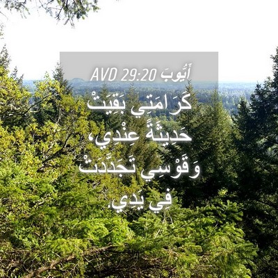 Picture 04 - أَيُّوبَ 29:20 AVD - كَرَامَتِي بَقِيَتْ - Bible Verse Picture