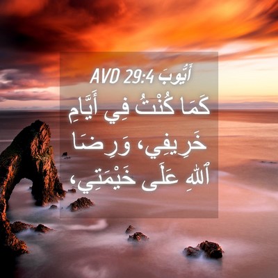 Picture 04 - أَيُّوبَ 29:4 AVD - كَمَا كُنْتُ فِي أَيَّامِ - Bible Verse Picture