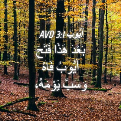 Picture 04 - أَيُّوبَ 3:1 AVD - بَعْدَ هَذَا فَتَحَ - Bible Verse Picture
