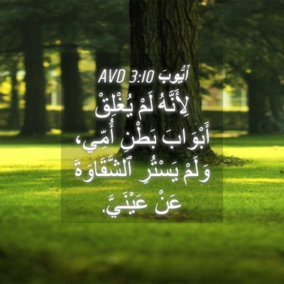 Picture 04 - أَيُّوبَ 3:10 AVD - لِأَنَّهُ لَمْ يُغْلِقْ - Bible Verse Picture