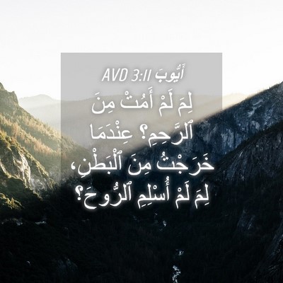 Picture 04 - أَيُّوبَ 3:11 AVD - لِمَ لَمْ أَمُتْ مِنَ - Bible Verse Picture