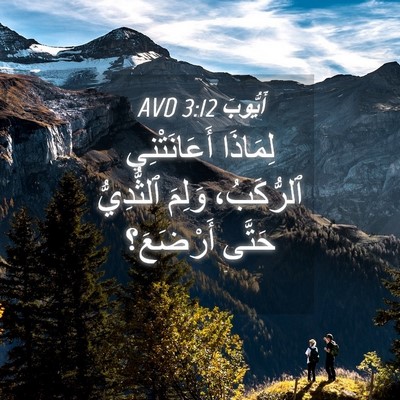 Picture 04 - أَيُّوبَ 3:12 AVD - لِمَاذَا أَعَانَتْنِي - Bible Verse Picture
