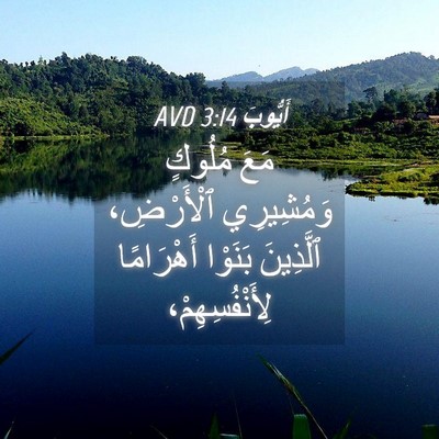 Picture 04 - أَيُّوبَ 3:14 AVD - مَعَ مُلُوكٍ وَمُشِيرِي - Bible Verse Picture