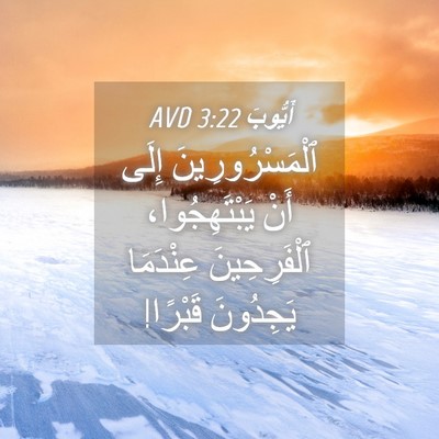 Picture 04 - أَيُّوبَ 3:22 AVD - ٱلْمَسْرُورِينَ إِلَى - Bible Verse Picture