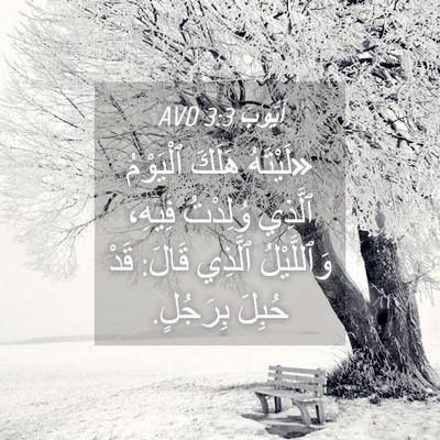 Picture 04 - أَيُّوبَ 3:3 AVD - «لَيْتَهُ هَلَكَ - Bible Verse Picture