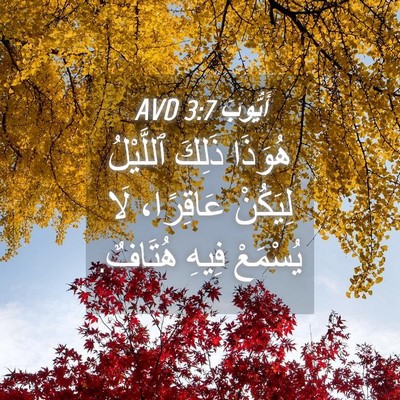 Picture 04 - أَيُّوبَ 3:7 AVD - هُوَذَا ذَلِكَ ٱللَّيْلُ - Bible Verse Picture