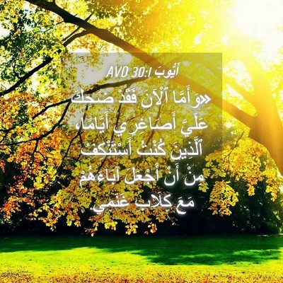Picture 04 - أَيُّوبَ 30:1 AVD - «وَأَمَّا ٱلْآنَ فَقَدْ - Bible Verse Picture