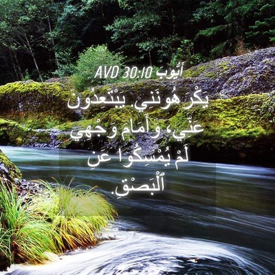 Picture 04 - أَيُّوبَ 30:10 AVD - يَكْرَهُونَنِي. - Bible Verse Picture