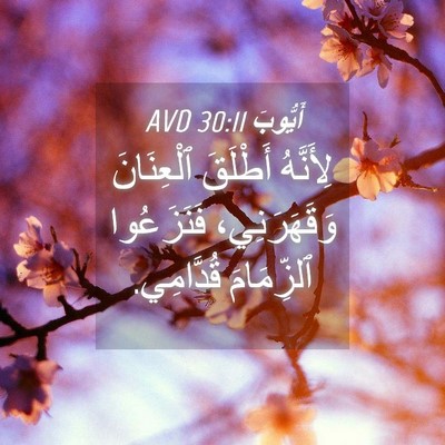 Picture 04 - أَيُّوبَ 30:11 AVD - لِأَنَّهُ أَطْلَقَ - Bible Verse Picture