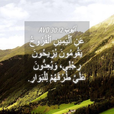 Picture 04 - أَيُّوبَ 30:12 AVD - عَنِ ٱلْيَمِينِ - Bible Verse Picture