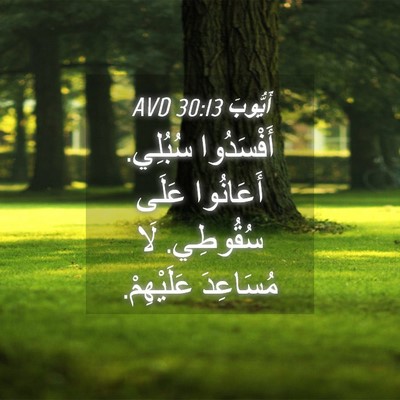 Picture 04 - أَيُّوبَ 30:13 AVD - أَفْسَدُوا سُبُلِي. - Bible Verse Picture