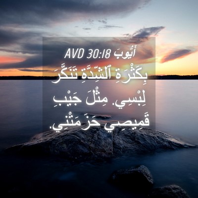 Picture 04 - أَيُّوبَ 30:18 AVD - بِكَثْرَةِ ٱلشِّدَّةِ - Bible Verse Picture