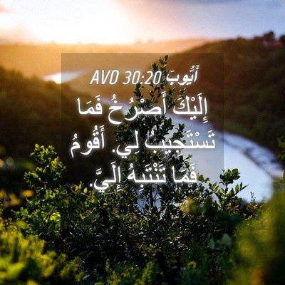 Picture 04 - أَيُّوبَ 30:20 AVD - إِلَيْكَ أَصْرُخُ فَمَا - Bible Verse Picture