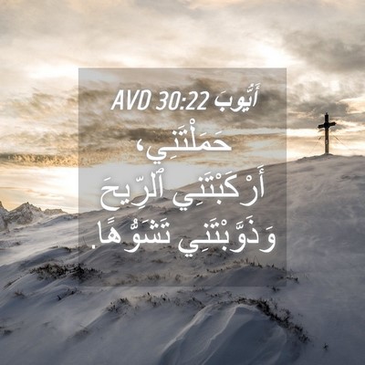 Picture 04 - أَيُّوبَ 30:22 AVD - حَمَلْتَنِي، - Bible Verse Picture