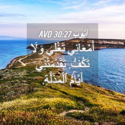 Picture 04 - أَيُّوبَ 30:27 AVD - أَمْعَائِي تَغْلِي وَلَا - Bible Verse Picture