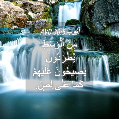 Picture 04 - أَيُّوبَ 30:5 AVD - مِنَ ٱلْوَسَطِ - Bible Verse Picture