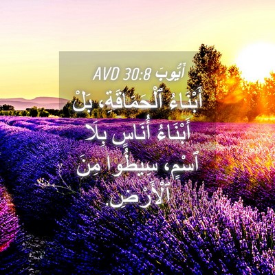 Picture 04 - أَيُّوبَ 30:8 AVD - أَبْنَاءُ ٱلْحَمَاقَةِ، - Bible Verse Picture