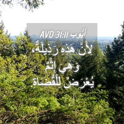 Picture 04 - أَيُّوبَ 31:11 AVD - لِأَنَّ هَذِهِ رَذِيلَةٌ، - Bible Verse Picture