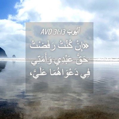 Picture 04 - أَيُّوبَ 31:13 AVD - «إِنْ كُنْتُ رَفَضْتُ - Bible Verse Picture