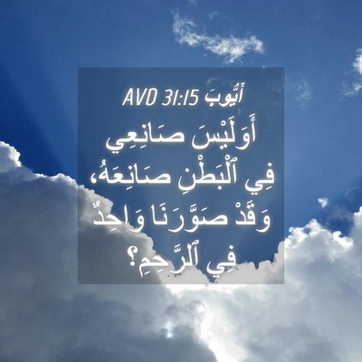 Picture 04 - أَيُّوبَ 31:15 AVD - أَوَلَيْسَ صَانِعِي فِي - Bible Verse Picture