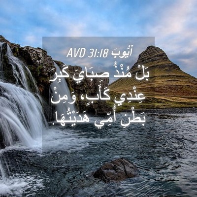 Picture 04 - أَيُّوبَ 31:18 AVD - بَلْ مُنْذُ صِبَايَ كَبِرَ - Bible Verse Picture