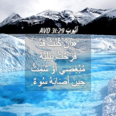 Picture 04 - أَيُّوبَ 31:29 AVD - «إِنْ كُنْتُ قَدْ فَرِحْتُ - Bible Verse Picture
