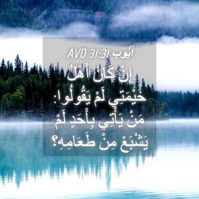 Picture 04 - أَيُّوبَ 31:31 AVD - إِنْ كَانَ أَهْلُ - Bible Verse Picture