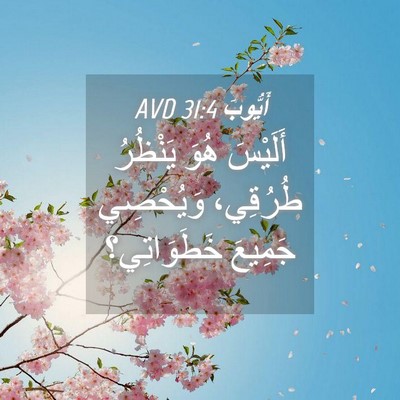 Picture 04 - أَيُّوبَ 31:4 AVD - أَلَيْسَ هُوَ يَنْظُرُ - Bible Verse Picture