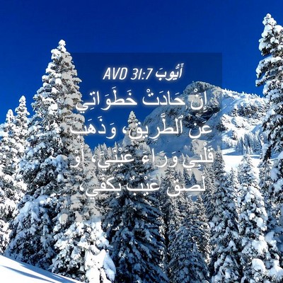 Picture 04 - أَيُّوبَ 31:7 AVD - إِنْ حَادَتْ خَطَوَاتِي - Bible Verse Picture
