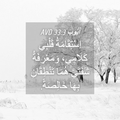 Picture 04 - أَيُّوبَ 33:3 AVD - اِسْتِقَامَةُ قَلْبِي - Bible Verse Picture