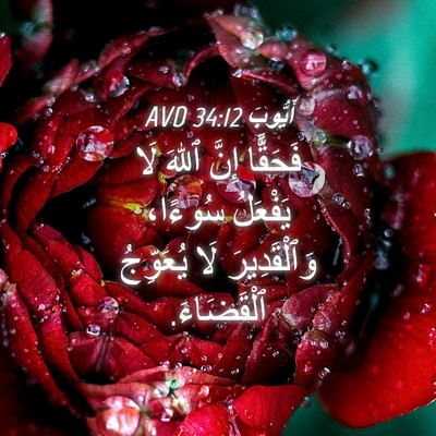 Picture 04 - أَيُّوبَ 34:12 AVD - فَحَقًّا إِنَّ ٱللهَ لَا - Bible Verse Picture