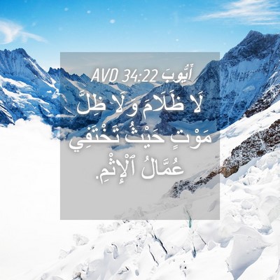 Picture 04 - أَيُّوبَ 34:22 AVD - لَا ظَلَامَ وَلَا ظِلَّ - Bible Verse Picture
