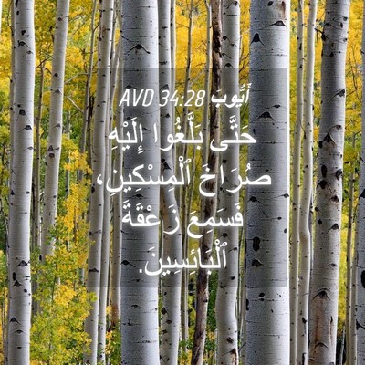 Picture 04 - أَيُّوبَ 34:28 AVD - حَتَّى بَلَّغُوا إِلَيْهِ - Bible Verse Picture
