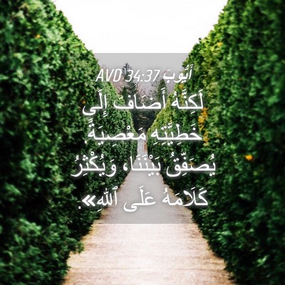 Picture 04 - أَيُّوبَ 34:37 AVD - لَكِنَّهُ أَضَافَ إِلَى - Bible Verse Picture