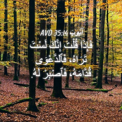 Picture 04 - أَيُّوبَ 35:14 AVD - فَإِذَا قُلْتَ إِنَّكَ - Bible Verse Picture
