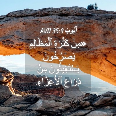 Picture 04 - أَيُّوبَ 35:9 AVD - «مِنْ كَثْرَةِ - Bible Verse Picture