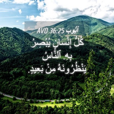 Picture 04 - أَيُّوبَ 36:25 AVD - كُلُّ إِنْسَانٍ يُبْصِرُ - Bible Verse Picture