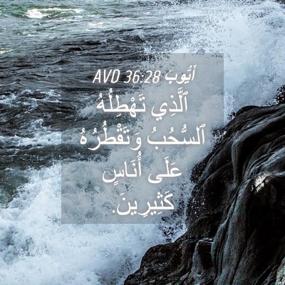 Picture 04 - أَيُّوبَ 36:28 AVD - ٱلَّذِي تَهْطِلُهُ - Bible Verse Picture