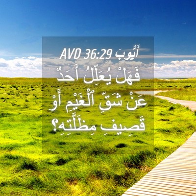 Picture 04 - أَيُّوبَ 36:29 AVD - فَهَلْ يُعَلِّلُ أَحَدٌ - Bible Verse Picture