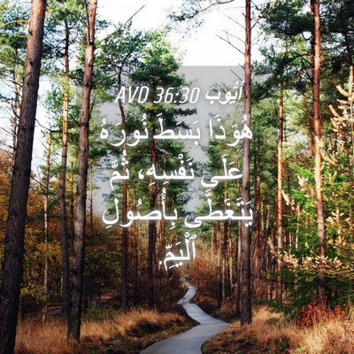 Picture 04 - أَيُّوبَ 36:30 AVD - هُوَذَا بَسَطَ نُورَهُ - Bible Verse Picture