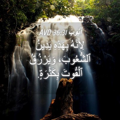 Picture 04 - أَيُّوبَ 36:31 AVD - لِأَنَّهُ بِهَذِهِ - Bible Verse Picture