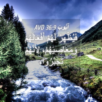 Picture 04 - أَيُّوبَ 36:9 AVD - فَيُظْهِرُ لَهُمْ - Bible Verse Picture