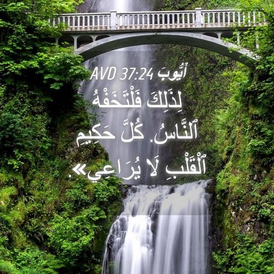 Picture 04 - أَيُّوبَ 37:24 AVD - لِذَلِكَ فَلْتَخَفْهُ - Bible Verse Picture