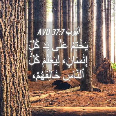 Picture 04 - أَيُّوبَ 37:7 AVD - يَخْتِمُ عَلَى يَدِ كُلِّ - Bible Verse Picture