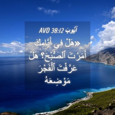 Picture 04 - أَيُّوبَ 38:12 AVD - «هَلْ فِي أَيَّامِكَ - Bible Verse Picture