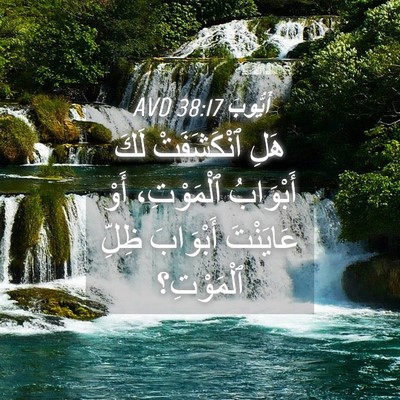 Picture 04 - أَيُّوبَ 38:17 AVD - هَلِ ٱنْكَشَفَتْ لَكَ - Bible Verse Picture